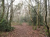 St James Pit, Mousehold Heath.jpg