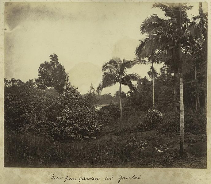 File:StateLibQld 1 235430 View from the garden at Gairlock Plantation, Ingham, ca. 1881.jpg