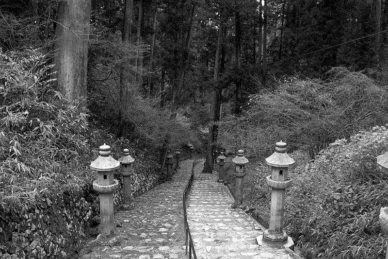 File:Stone lantern-lined stairway (4154482684).jpg