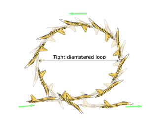 <span class="mw-page-title-main">Kulbit</span> Aerial maneuver