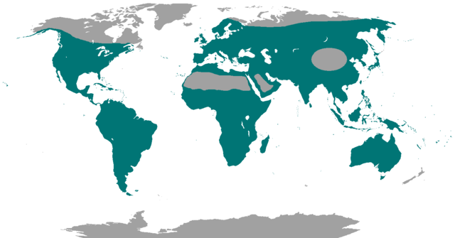 Área de distribución dos apodiformes.