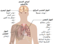 تصغير للنسخة بتاريخ 17:46، 5 أغسطس 2015