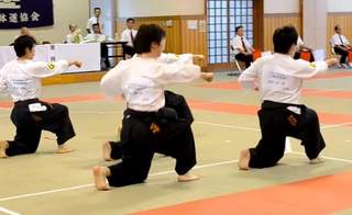 <span class="mw-page-title-main">Taidō</span> Karate-based Japanese martial art