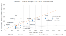 Divergence Rate of TMEM241 TMEM241 Time of divergence from humans vs corrected %25 divergence.png