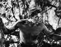 Weissmüller în rolul lui Tarzan în filmul Tarzan omul maimuță (1932)