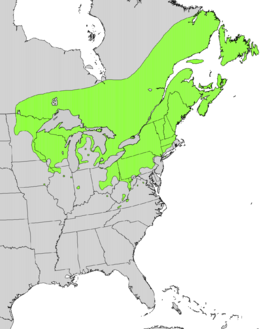 Taxus canadensis range map.png