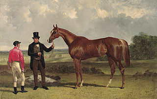 Teddington (horse) British-bred Thoroughbred racehorse