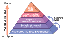 Possible ways for adverse childhood experiences such as abuse and neglect to influence health and well-being throughout the lifespan, according to the Centers for Disease Control and Prevention. The ACE Pyramid.gif