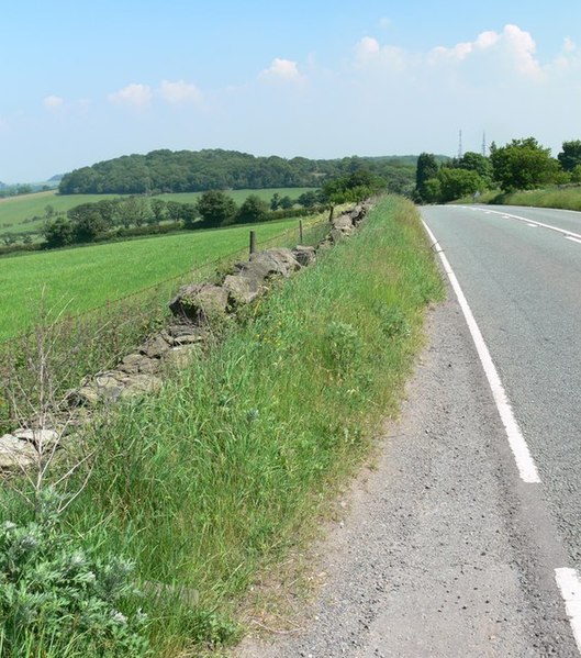 File:The road to Copt Oak - geograph.org.uk - 461715.jpg