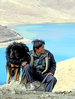 Tibetansk – Wikipedia