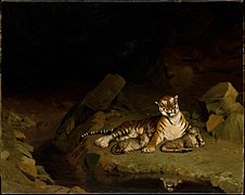 331 Tigress and her cubs label QS:Len,"Tigress and her cubs" 1895