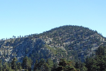 Timber Mountain summit