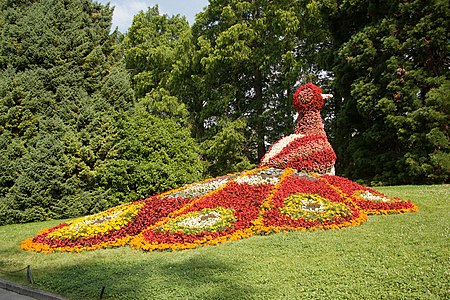 Topiary peacock Mainau