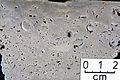 Limestone sample (cut/polished) from Trias/Muschelkalk, Harzvorland/Lamspringe/Heber, Northern Germany