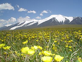 Tsambagarav Mountain.JPG