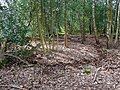 Possibly Bronze Age tumulus on Chislehurst Common in Chislehurst.