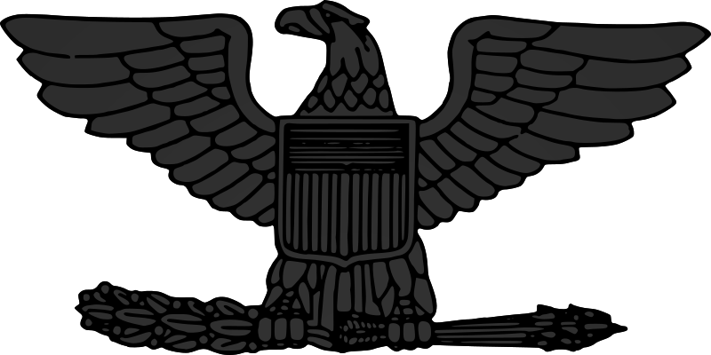 File:US-O6 insignia subdued.svg