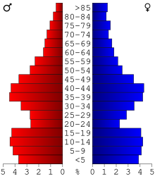 Age pyramid of county residents based on 2000 census data