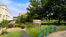 The gardens at the Heath Park site University Hospital of Wales gardens (19778242088).jpg