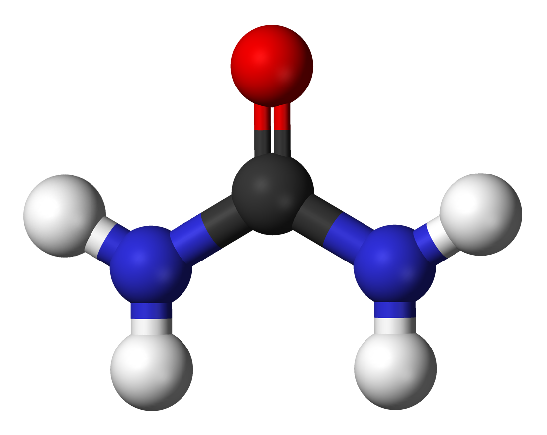 File:Urea-3D-balls.png