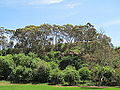 Views north from the town of Hahndorf, South Australia