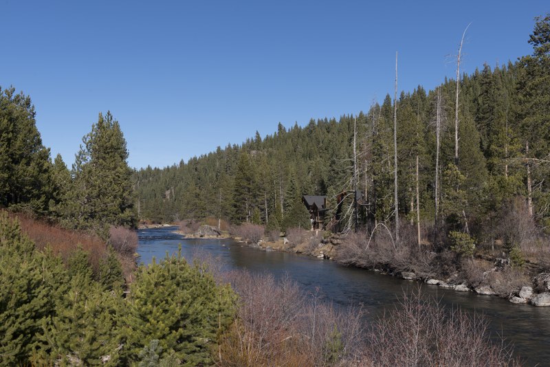 File:View of the Truckee River in Tahoe National Forest in Northern California LCCN2013633832.tif