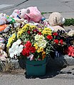 * Nomination: Flowers and children's toys at the site of the tragedy after Russian Navy launched missile attacks (2) -- George Chernilevsky 06:09, 25 July 2022 (UTC) * * Review needed