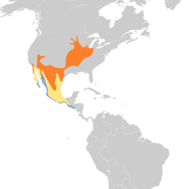 Distribución geográfica del vireo de Bell.