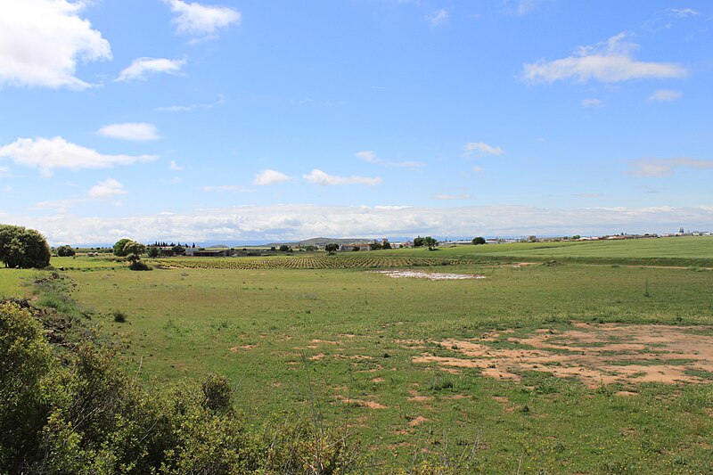 File:Vista de Casas Ibáñez desde la casilla del Cuco - panoramio.jpg