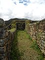 Inka Ruine Vitcos - Rosaspata