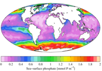 Среднегодовое содержание на морской поверхности фосфата (2009)