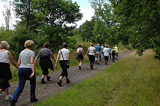 Walkers following the walk leader in Epsom, England Walking for Health in Epsom-5Aug2009 (2).jpg