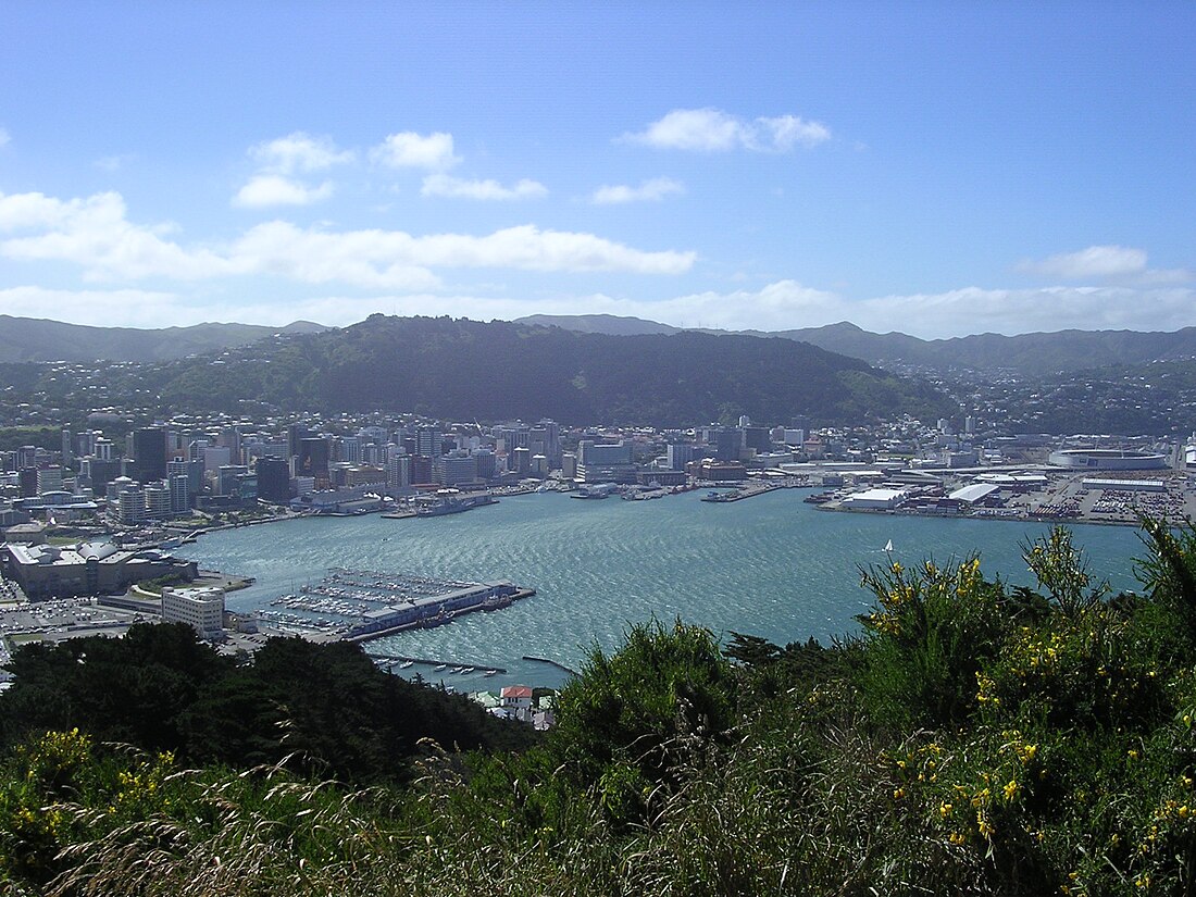 Te Whanga-nui-a-Tara