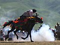 Vignette pour Yushu (cheval)