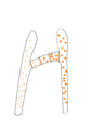 Image 18Fungi within Zygomycota form progametangia with suspensors during mating (from Mating in fungi)