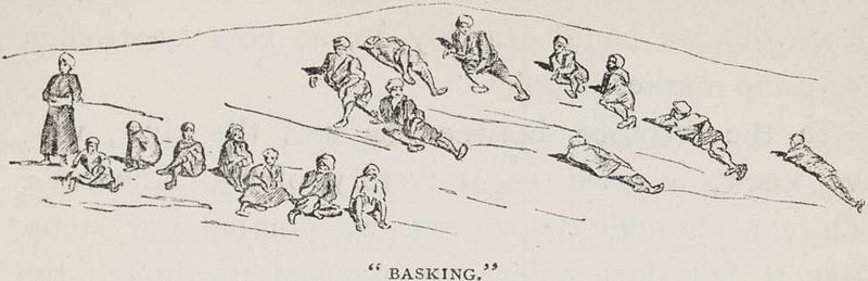 File:"Basking." (1879) - TIMEA.jpg