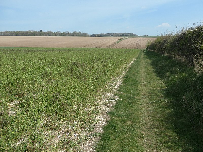 File:"Continue ... east ... along the bottom edge of the field" (geograph 6835824).jpg