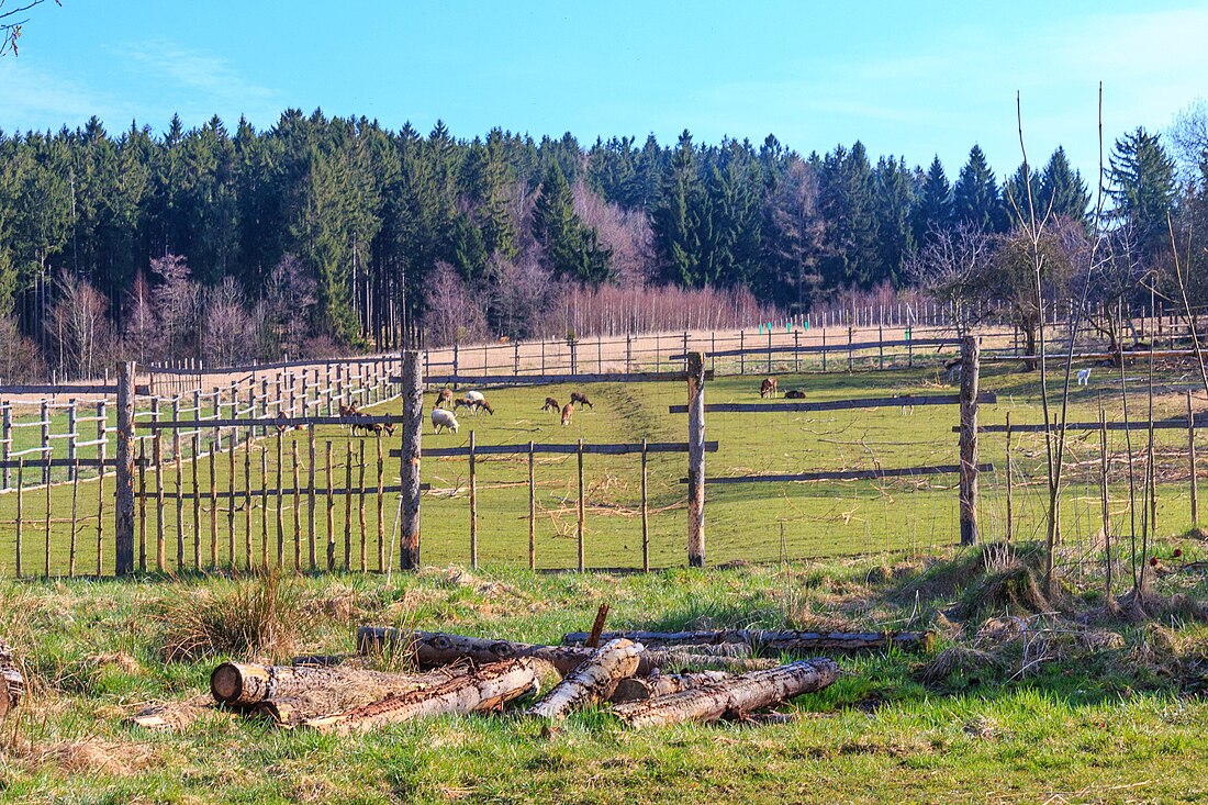 Miřetice (okres Chrudim)