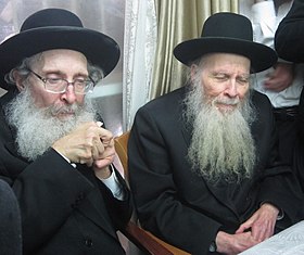 הרב אריה פינקל (מימין) עם הרב נתן צבי פינקל.jpg