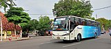 01 Perum DAMRI Trayek P3 Rute JMP - Sidoarjo Melintas di Jalan Rajawali.jpg
