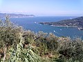19025 Porto Venere, Province of La Spezia, Italy - panoramio (4).jpg