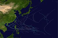 1981 Pacific typhoon season summary.jpg
