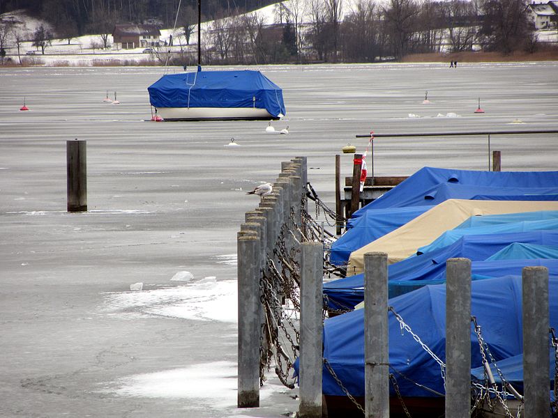 File:2012 'Seegfrörni' - Greifensee - Niederuster 2012-02-16 13-48-35 (SX230).JPG