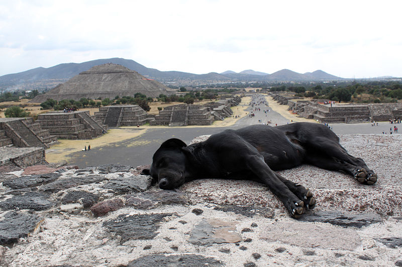 File:2013-12-23 Teotihuacan Ausblick mit Hund anagoria.JPG