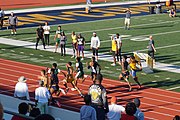 Men's 100m finals