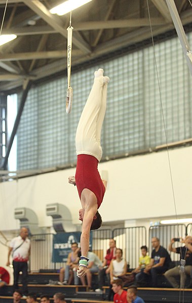 File:2019-05-25 Budapest Cup age group II all-around competition still rings (Martin Rulsch) 22.jpg