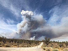 The Dome Fire forming a small pyrocumulus cloud on August 15 2020 Dome Fire 2.jpg