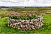 A view of Housesteads Roman Fort along Hadrian's Wall in the United Kingdom.