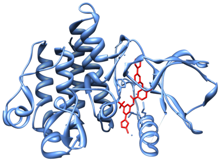 Crystal structure of the second generation Bcr-Abl tyrosine-kinase inhibitor nilotinib (red) in complex with an Abl kinase domain (blue). Nilotinib is used to treat chronic myelogenous leukemia (CML), a hematological malignancy. 3CS9 Abl1 Nilotinib.png