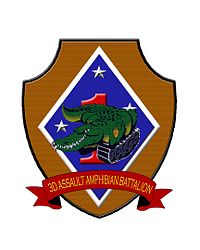 3rdAAVinsignia.jpg 